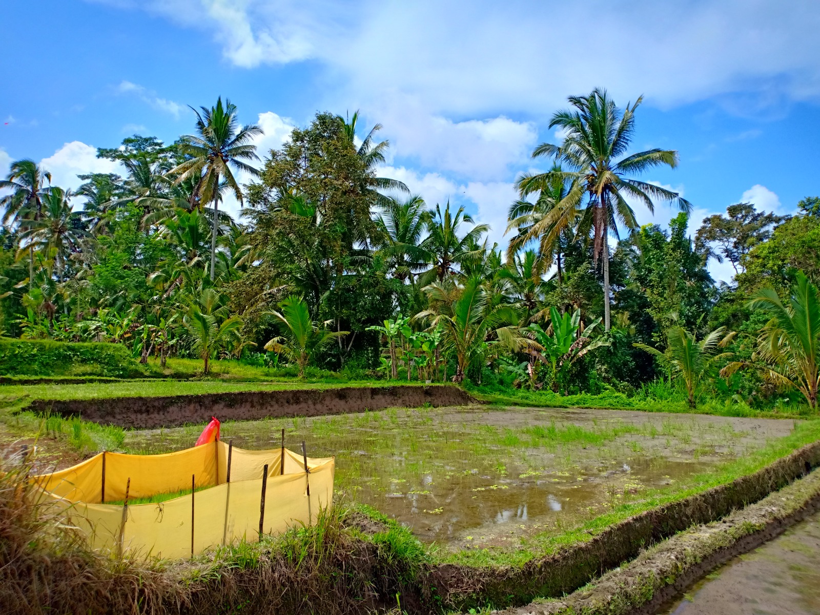Villa Sawah gallery image